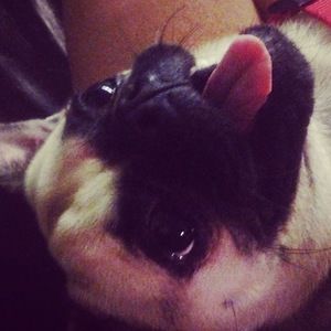 Meet your Posher, Tiana